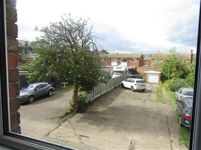 Picture 11